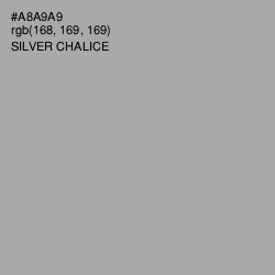 #A8A9A9 - Silver Chalice Color Image